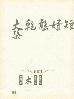 大乾憨婿短剧合集