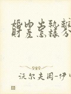 婚内出轨离婚后财产怎样分割封面