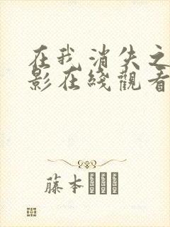 在我消失之前电影在线观看免费播放