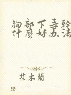 胸部下垂干瘪有什么好办法可以提升封面