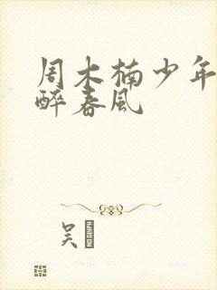 周木楠少年白马醉春风封面