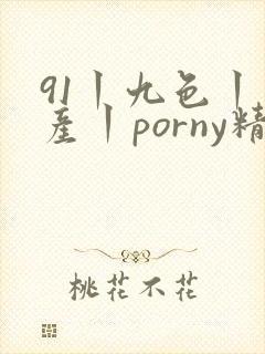 91丨九色丨国产丨porny精品
