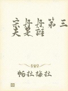 宋丹丹第三任丈夫是谁