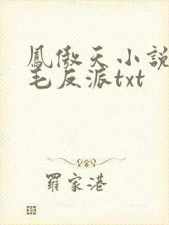 凤傲天小说里黄毛反派txt