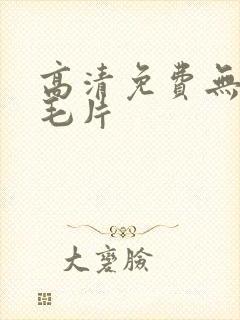 高清免费无遮挡毛片