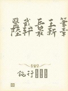医武兵王笔趣阁陆轩最新章节