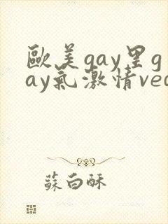 欧美gay里gay气激情vedio封面