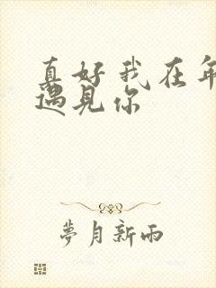真好 我在年少遇见你