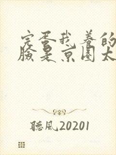 完蛋我养的小白脸是京圈太子爷短剧免费观看封面