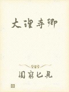 大理寺卿