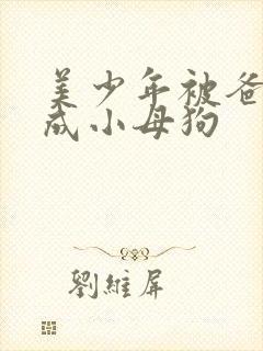 美少年被爸爸操成小母狗