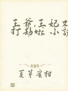 王爷,王妃又去打劫啦 小说