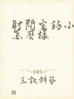 财阀家的小儿子怎么样