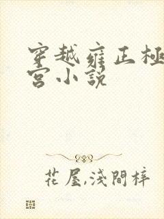 穿越雍正极品后宫小说