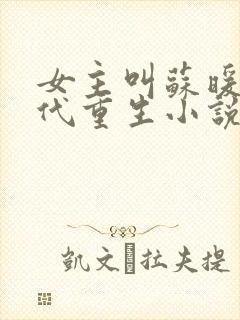 女主叫苏暖的古代重生小说