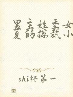 男主姓季女主姓夏的总裁小说