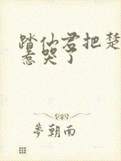 踏仙君把楚晚宁惹哭了
