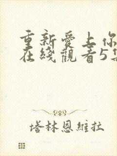 重新爱上你泰剧在线观看5集