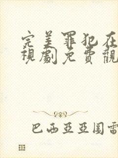 完美罪犯在线电视剧免费观看全集