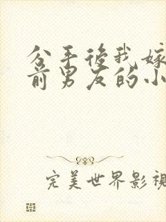 分手后我嫁给了前男友的小叔暮色酒歌