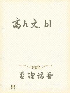 高h文 bl