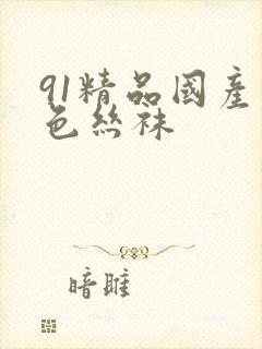 91精品国产黑色丝袜