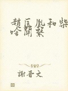 赵匡胤和柴荣是啥关系