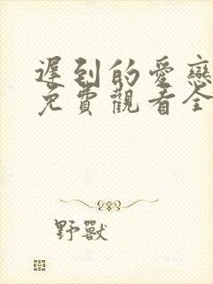 迟到的爱恋短剧免费观看全集高清
