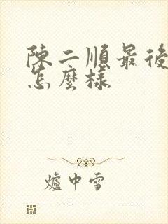 陈二顺最后结局怎么样封面