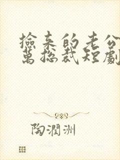 捡来的老公是亿万总裁短剧