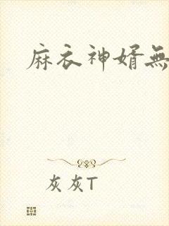 麻衣神婿无弹窗