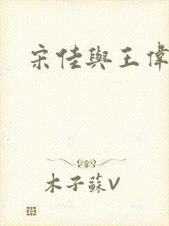 宋佳与王伟