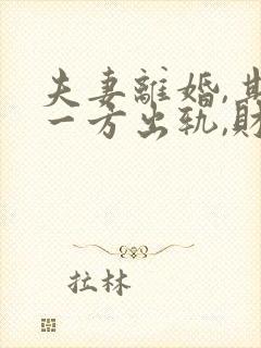 夫妻离婚,其中一方出轨,财产该如何分配