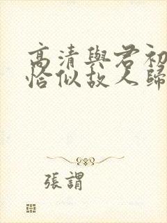 高清与君初相识恰似故人归免费看