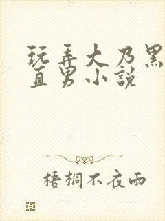 玩弄大乃黑皮顺直男小说