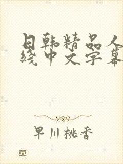 日韩精品人妻在线中文字幕视频