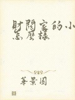财阀家的小儿子怎么样