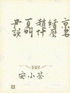 尹夏赵绪京的小说叫什么名字封面
