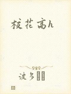 校花高h封面