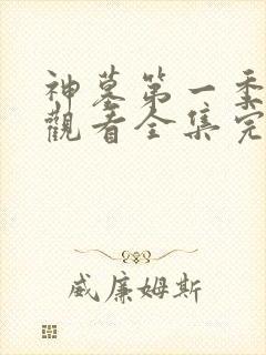 神墓第一季免费观看全集完整版高清