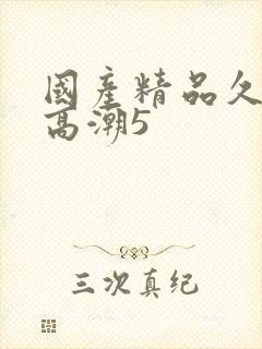 国产精品久久久高潮5