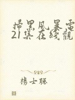 扫黑风暴电视剧21集在线观看