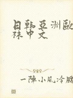 日韩亚洲欧美丝袜中文