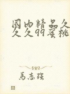 国内精品久久久久久99蜜桃封面