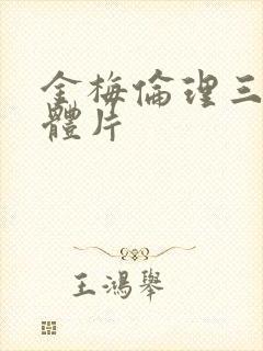 金梅伦理三级裸体片封面