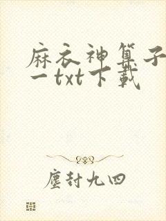 麻衣神算子李初一txt下载封面