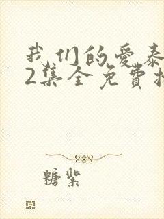 我们的爱泰剧12集全免费播放