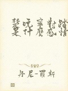 楚晚宁对踏仙君是什么感情