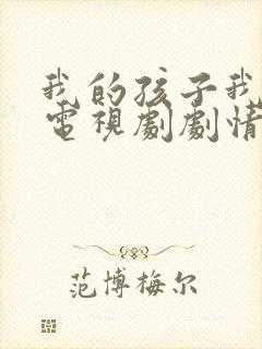 我的孩子我的家电视剧剧情封面