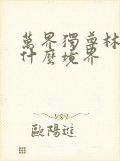 万界独尊林啸天什么境界